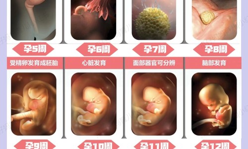 昏迷病人张嘴要吃东西是要醒了吗-昏迷中的病人张嘴呼吸网—知名的昏迷病人喘气特别粗是要醒吗网站,分享昏迷病人嘴巴开始动了知识
