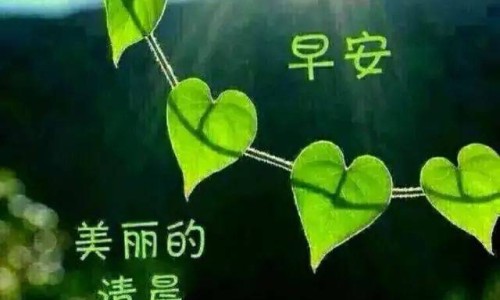 昏迷病人张嘴要吃东西是要醒了吗-昏迷中的病人张嘴呼吸网—知名的昏迷病人喘气特别粗是要醒吗网站,分享昏迷病人嘴巴开始动了知识